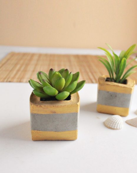 DIY concrete planters