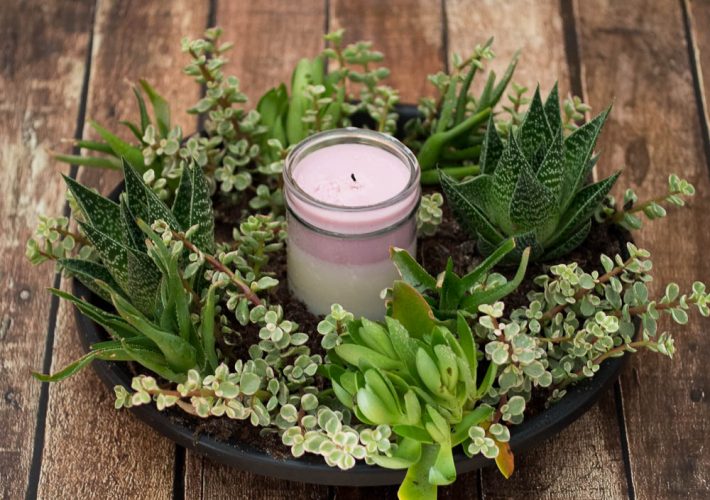 20 Ways to Decorate With Succulent House&hellip;